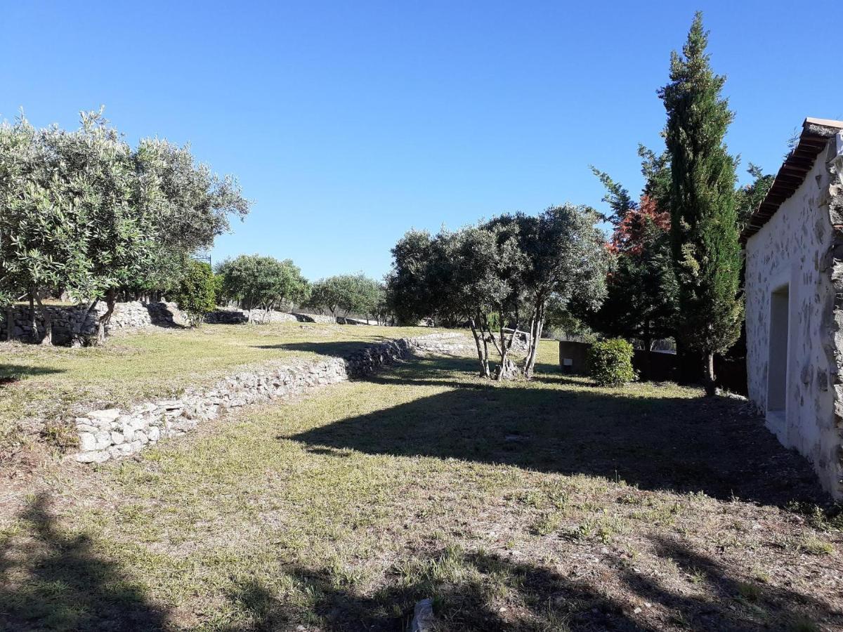 La Bastide Des Selves Bed & Breakfast Draguignan Eksteriør bilde